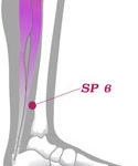 SP-6 akupressurpunkt